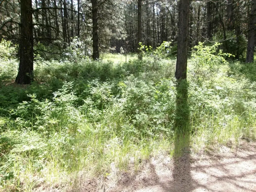 Picture 20