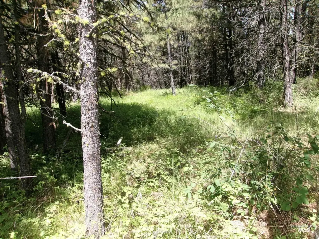 Picture 17