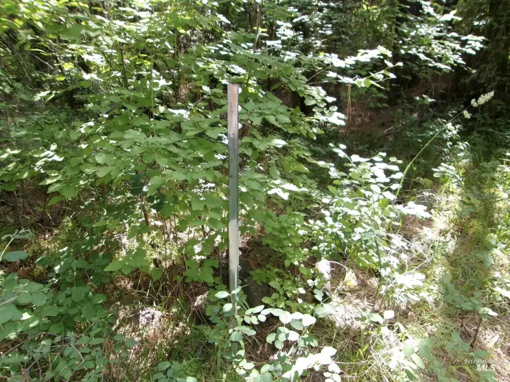Picture 23