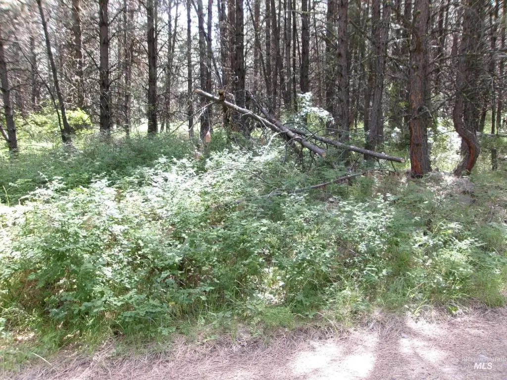 Picture 8