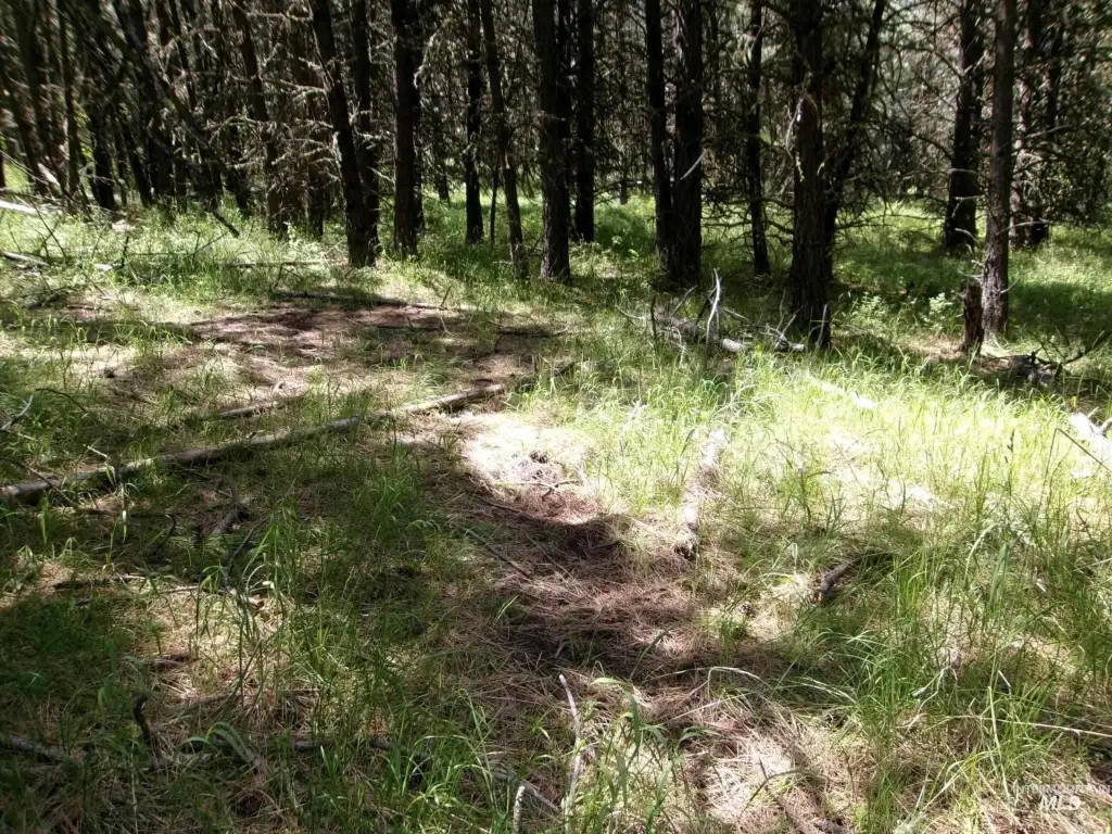 Picture 21