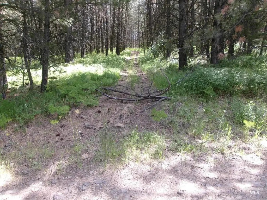 Picture 31