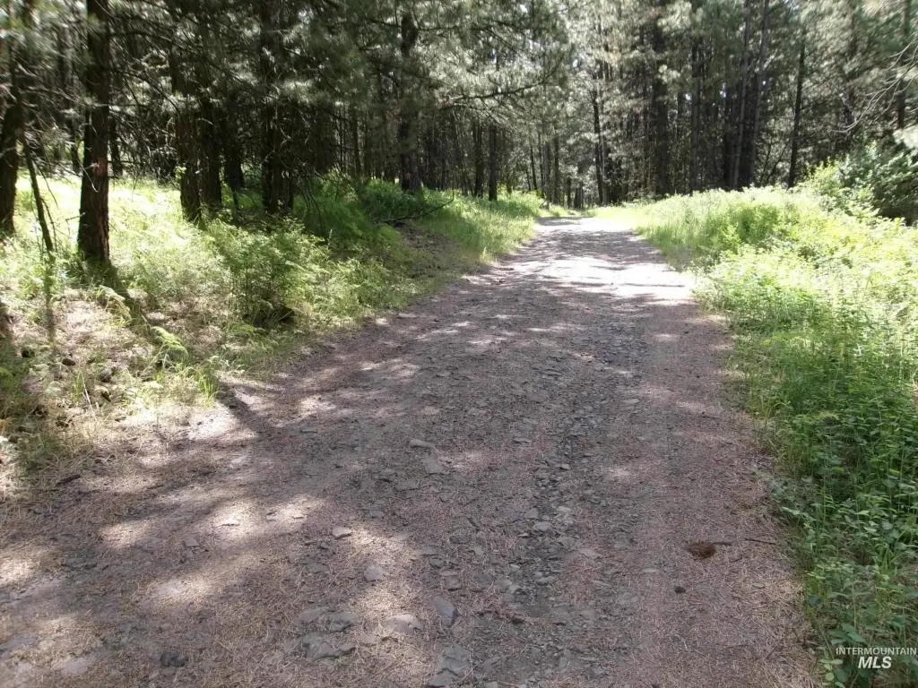 Picture 3