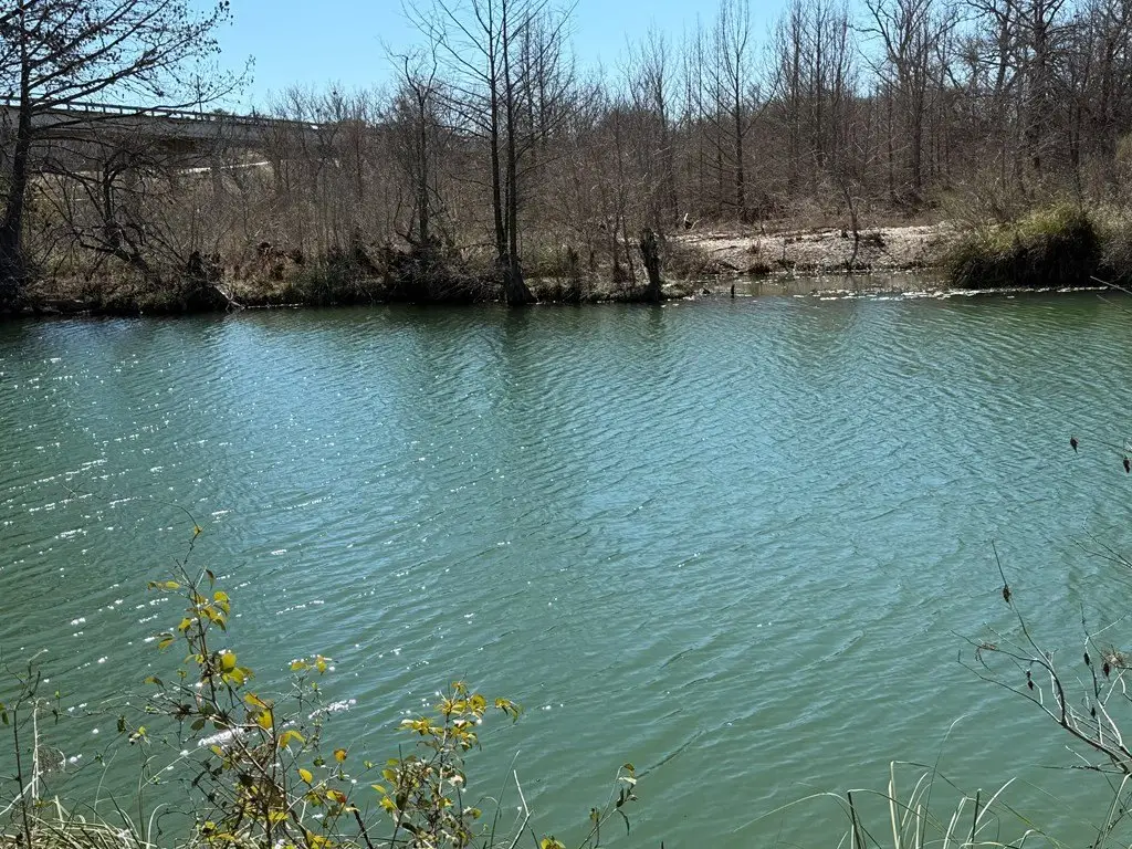 Picture 11