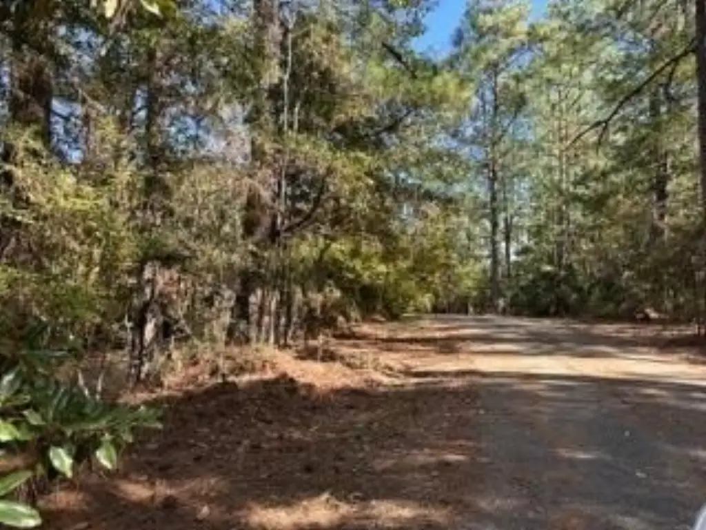 Picture 11