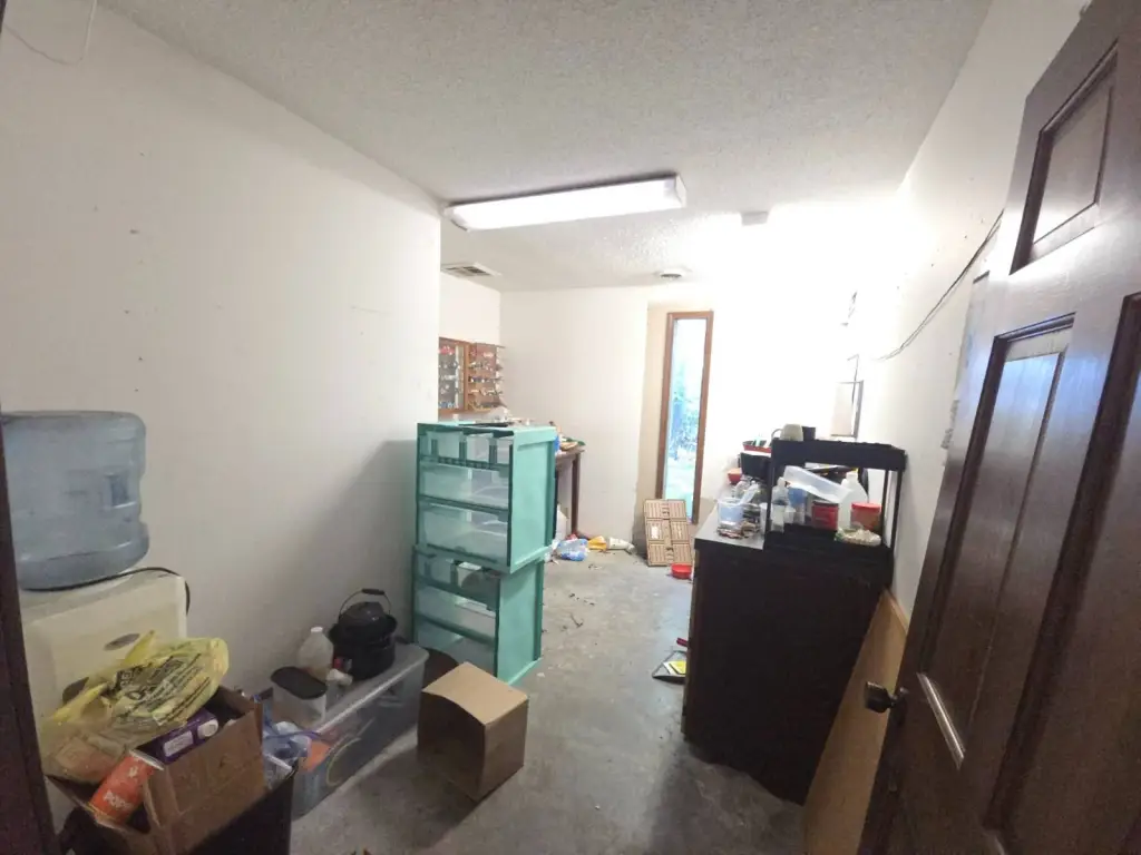 Picture 11