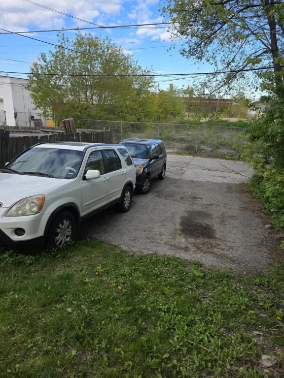 Picture 23