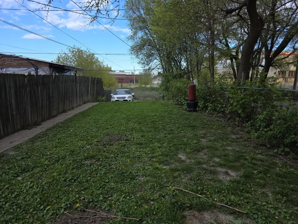 Picture 21
