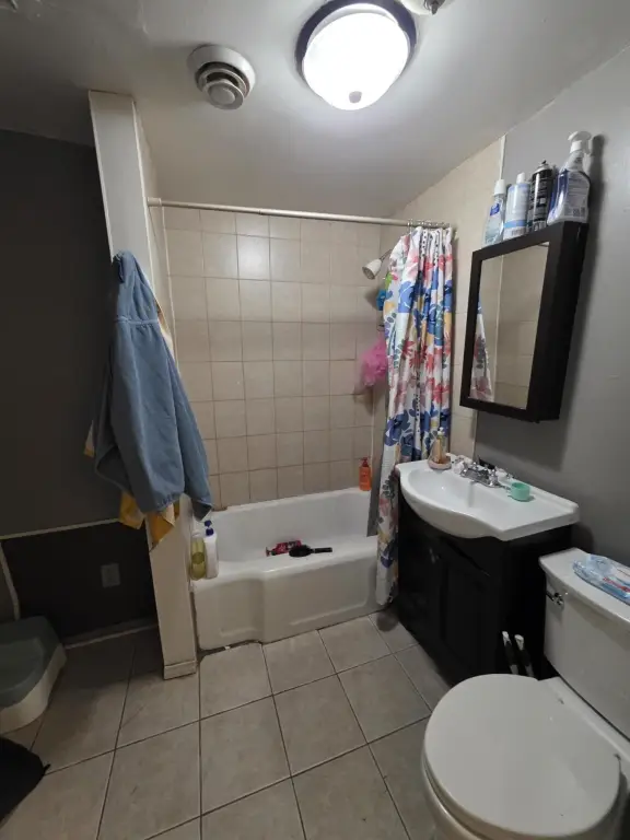 Picture 16