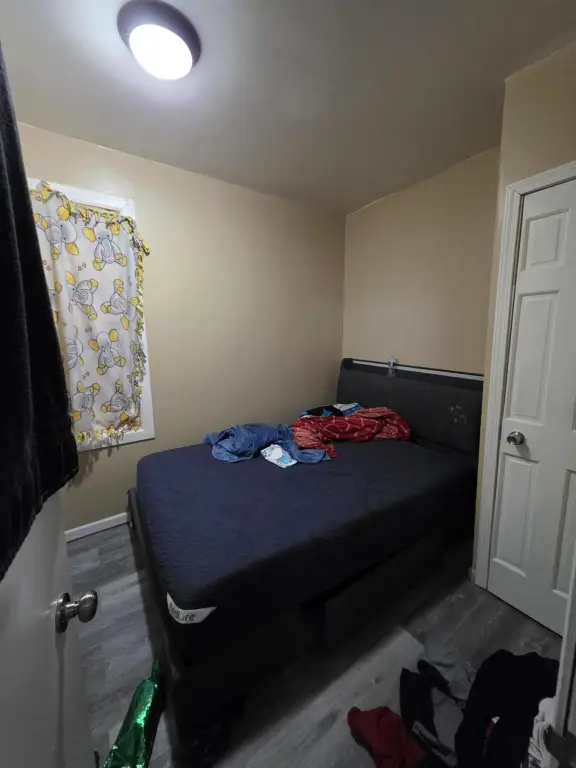 Picture 7