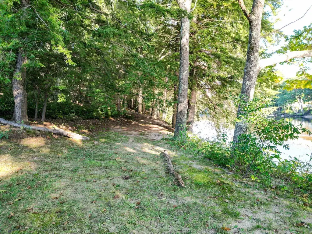 Picture 25