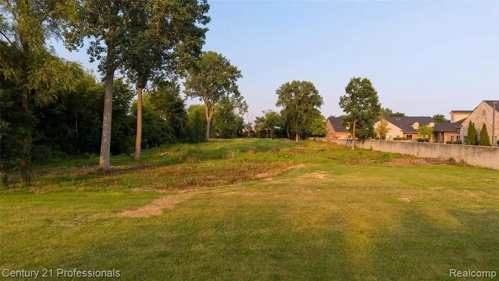 Picture 6