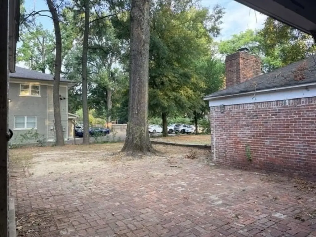 Picture 4