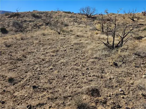 Residential Lot in Juniper Hills