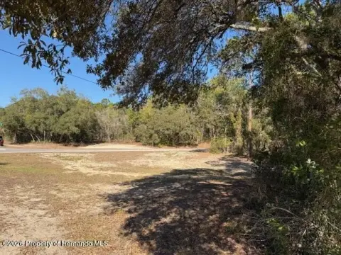 Acre Corner Lot in Hernando