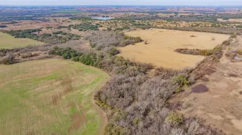 Expansive Land Parcel in Hico