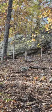 Estate Grade Land with Cabin