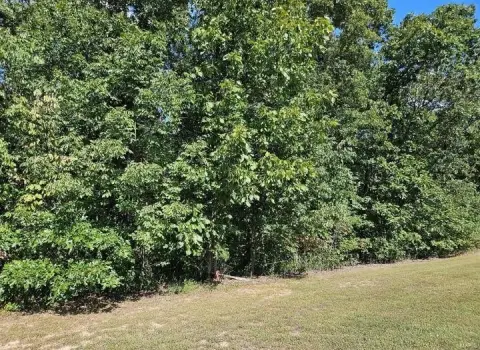 Wooded Land in Tarrant's Estates