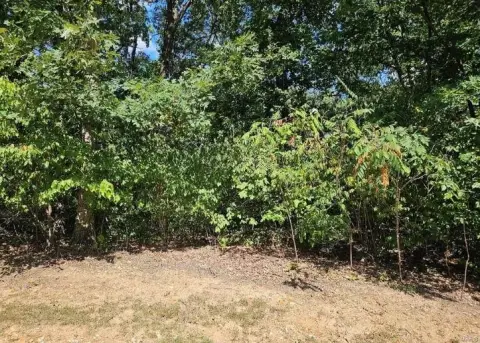 Wooded Land in Tarrant's Estates