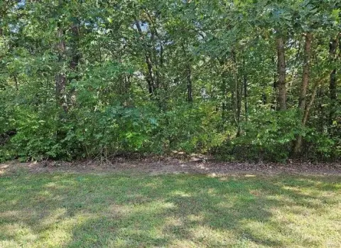 Wooded Land in Tarrant's Estates