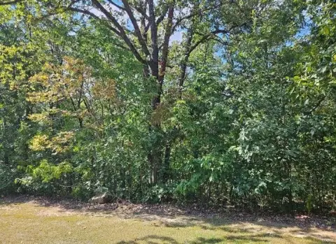 Wooded Land in Tarrant's Estates