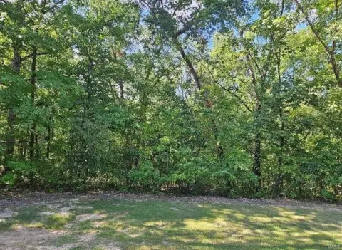 Wooded Land in Tarrant's Estates