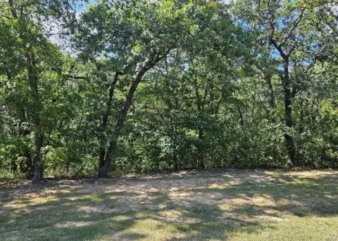Wooded Land in Tarrant's Estates