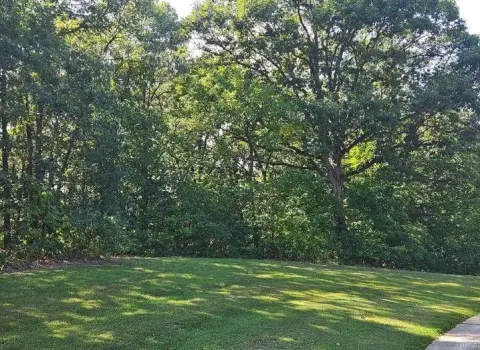 Wooded Land in Tarrant's Estates