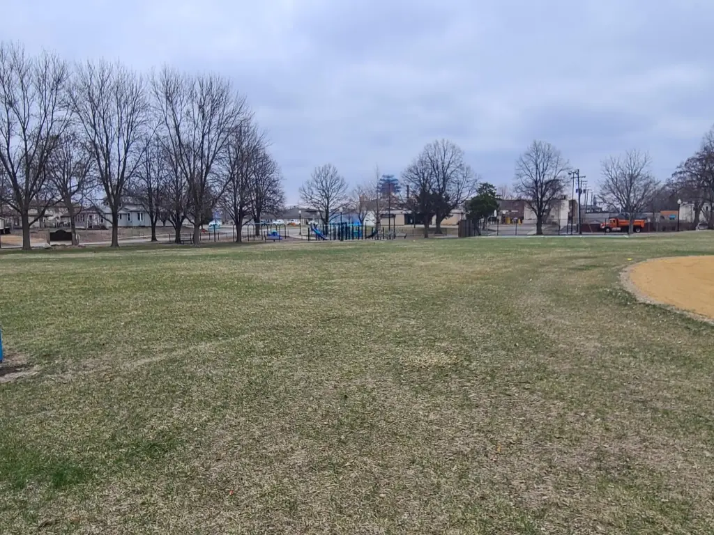 Picture 5