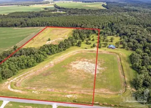 20 Acres in Walnut Hill