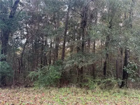 Residential Land in West Mobile
