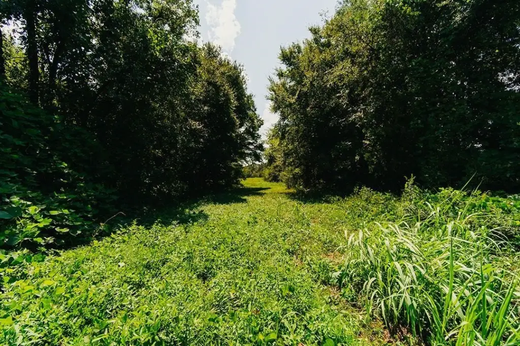 Picture 30