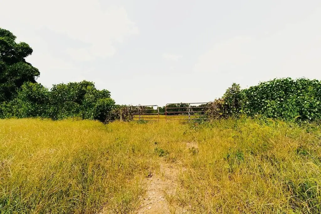 Picture 34