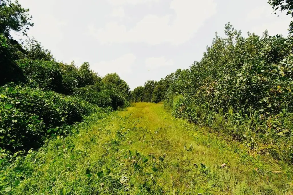 Picture 32