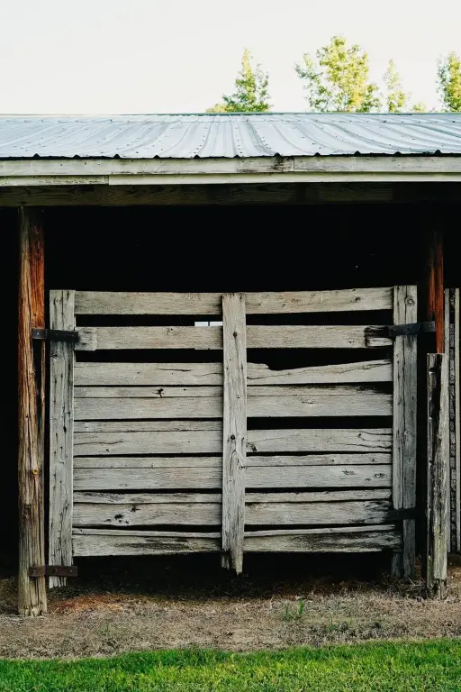 Picture 25