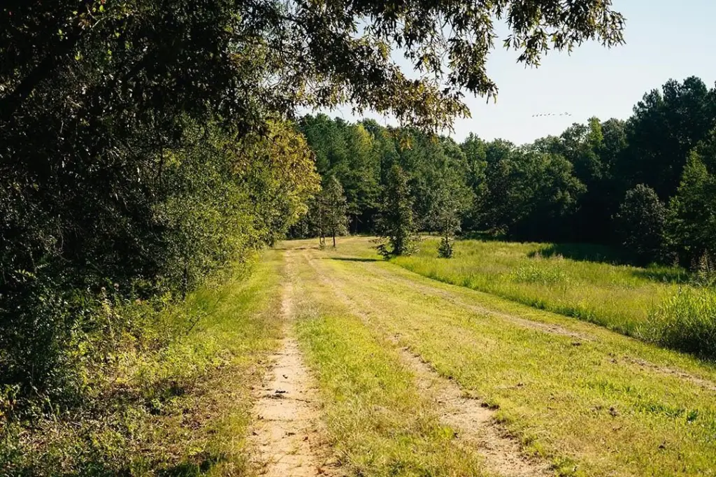 Picture 26