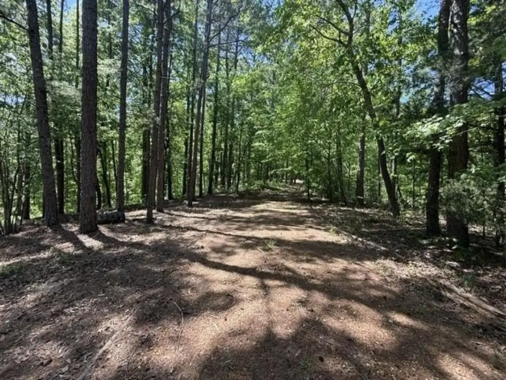 Picture 20