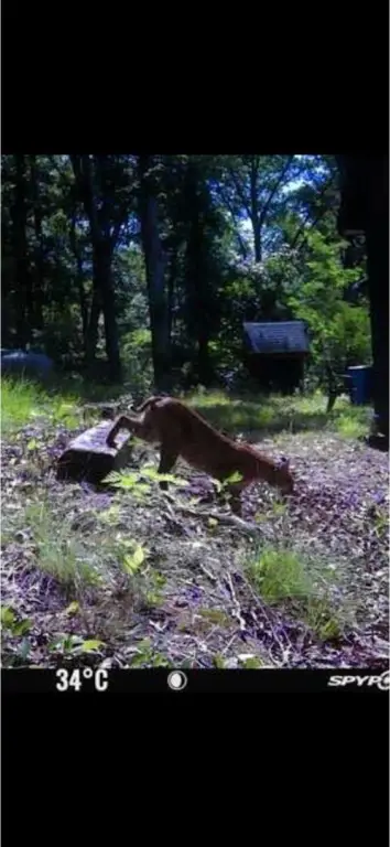 Picture 36
