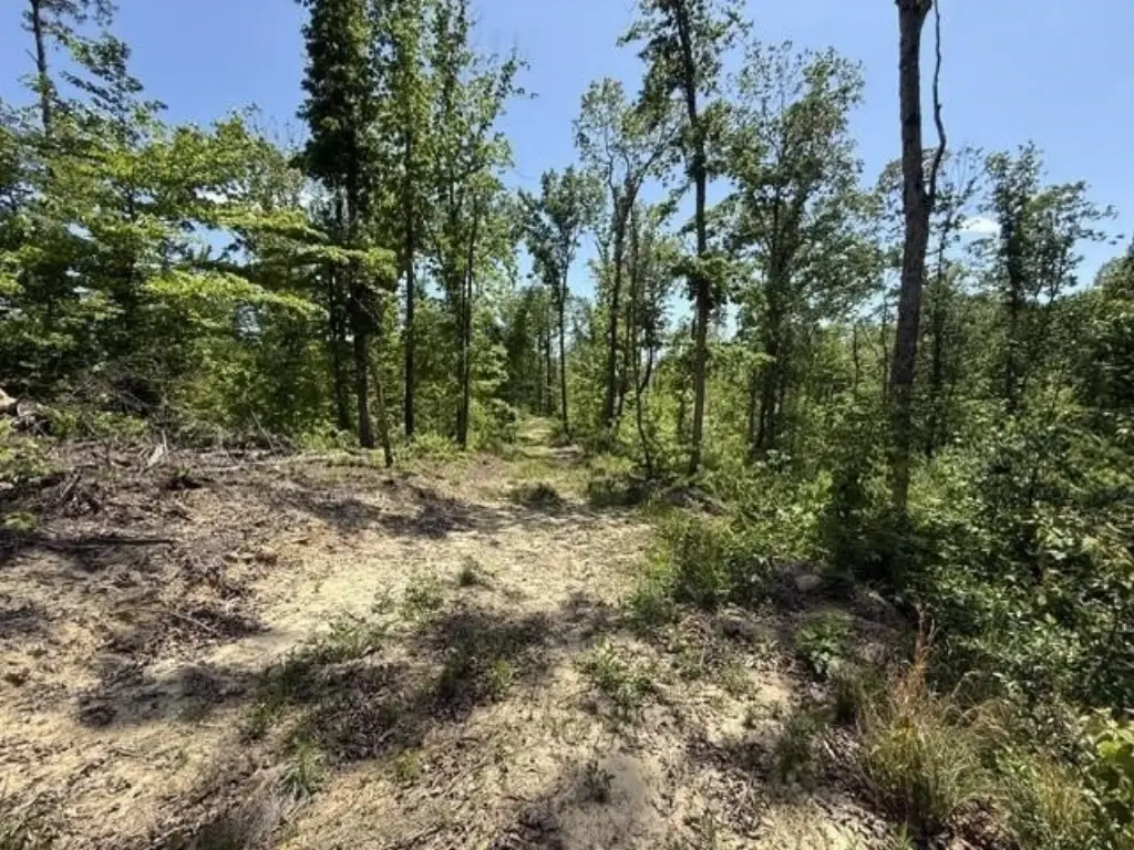 Picture 24