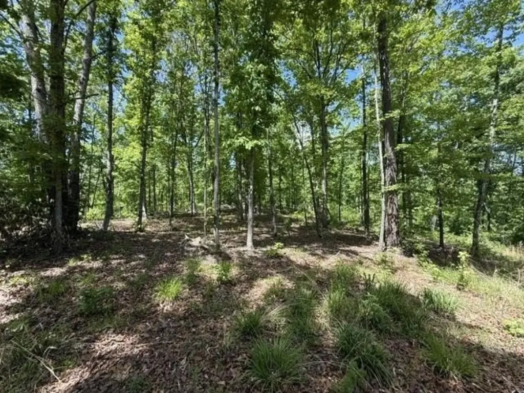 Picture 22