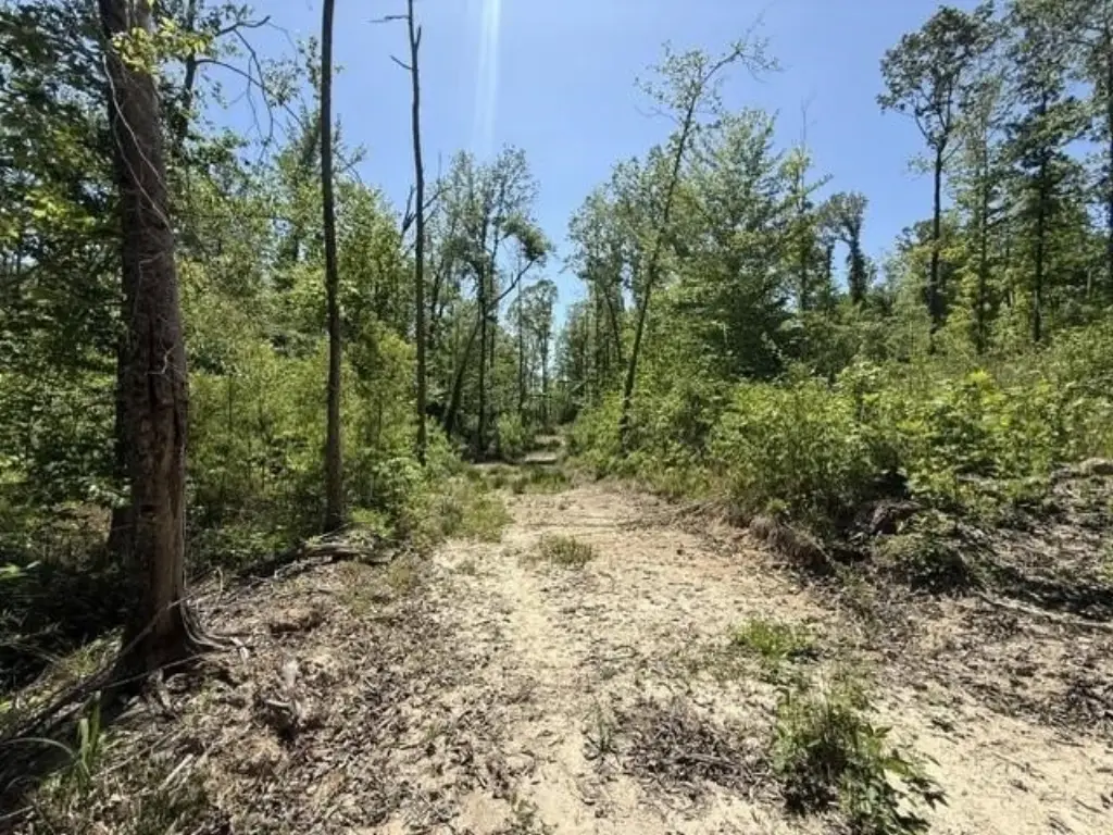 Picture 25