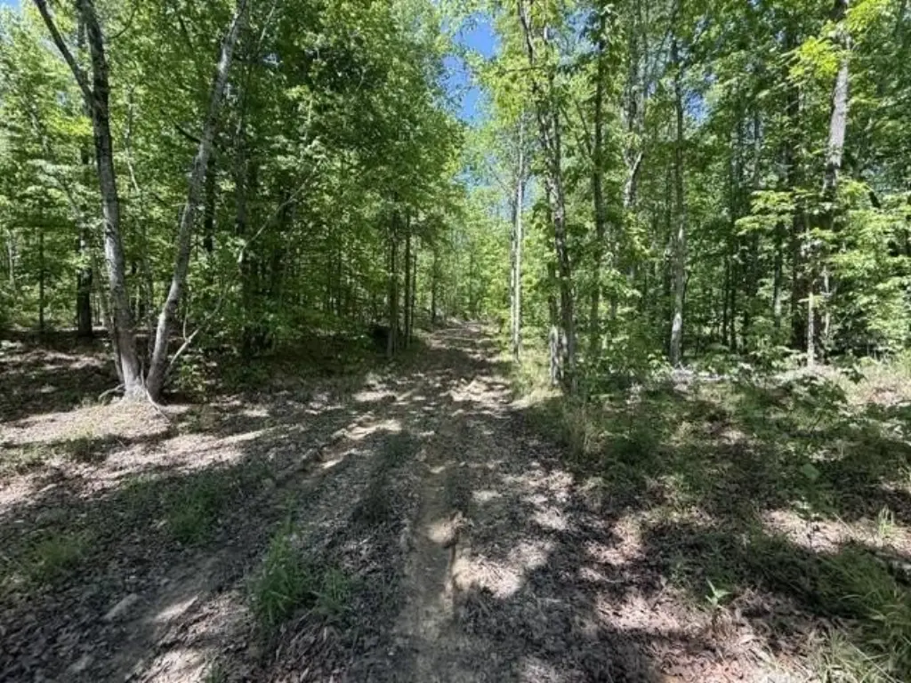 Picture 27