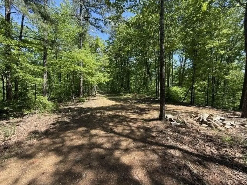Picture 21