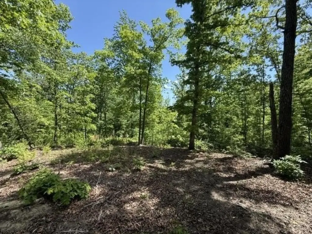 Picture 23