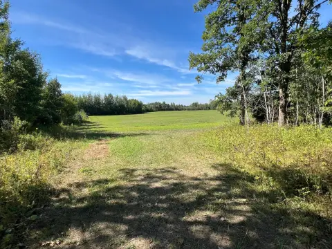Agricultural Land with Timber