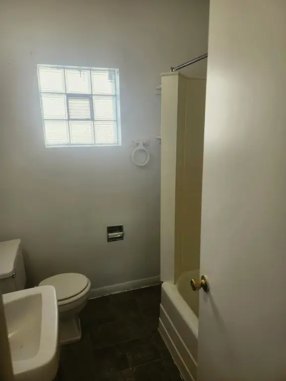 Picture 5