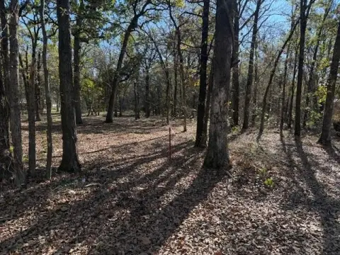 Wooded Lot Near Lake Texoma