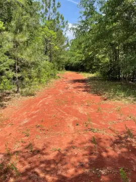 Prime Commercial Land in Greenville