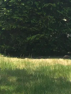 Vacant Land in Bayville, NJ