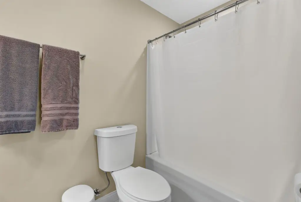 Picture 22
